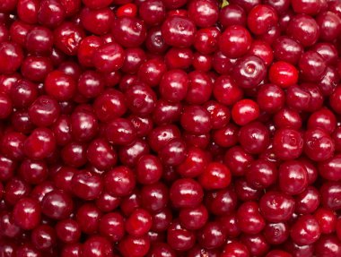 koyu kırmızı kiraz