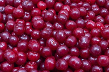 koyu kırmızı kiraz