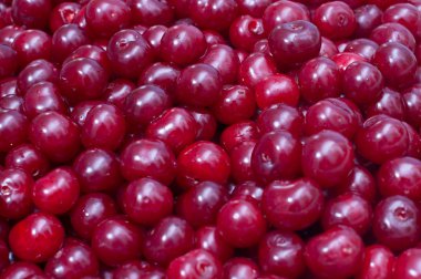 koyu kırmızı kiraz