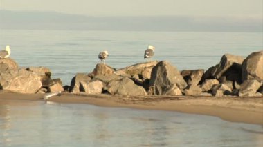 Baykal