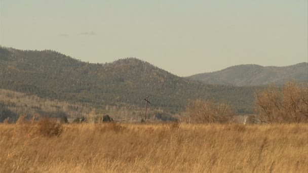 Πεδία — Αρχείο Βίντεο