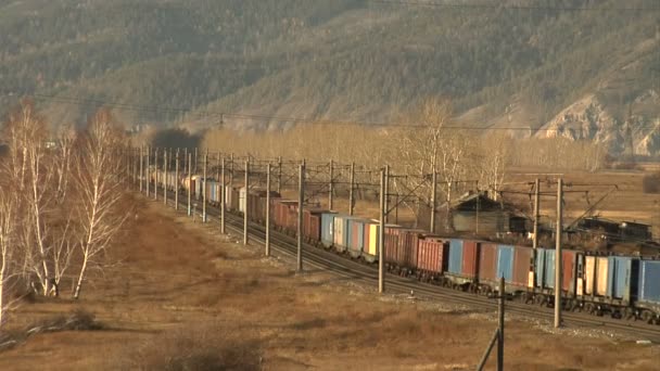 Товарний потяг — стокове відео