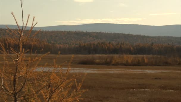 Lake baikal — Stock Video