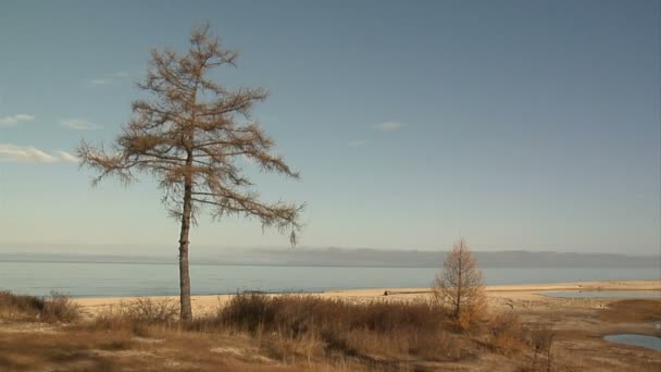 Lago Baikal — Video Stock