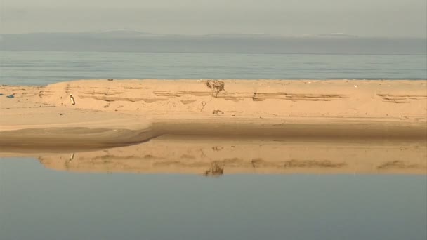 Lago Baikal — Vídeo de stock