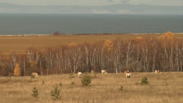 Lac Baïkal