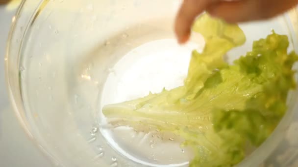 Making a salad — Stock Video