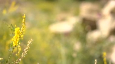 farklı çerçeve monte