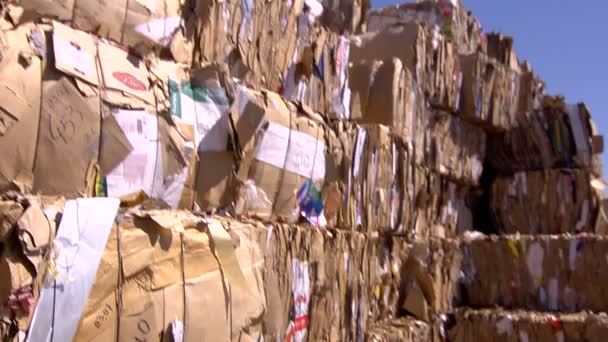 廃棄物の紙 — ストック動画