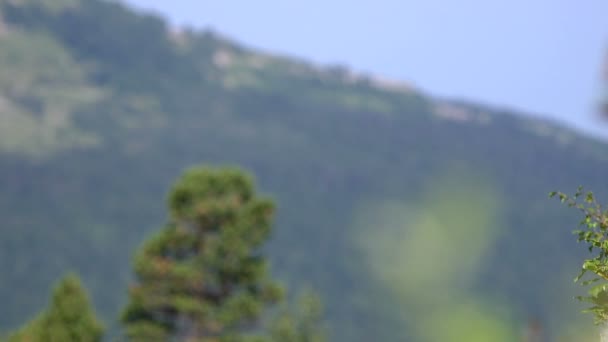 Montagnes
