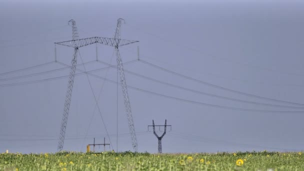 能源 — 图库视频影像