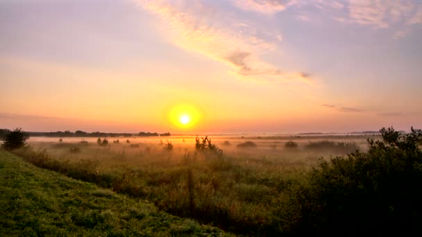 Buongiorno. — Video Stock