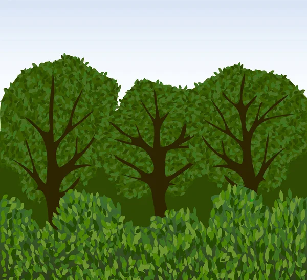 Bosque o parque con árboles y arbustos — Vector de stock