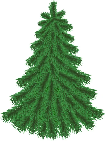 Fir tree without Christmas decorations — Stock Vector