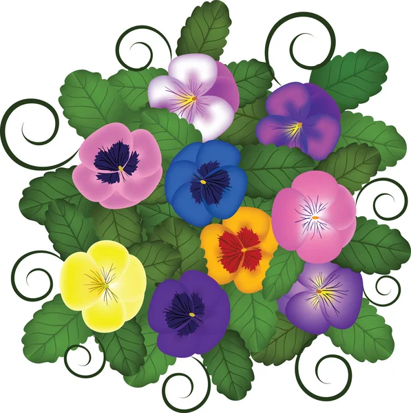 紫罗兰花束 — 图库矢量图片