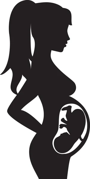 Kobieta w ciąży z dzieckiem wewnątrz — Wektor stockowy