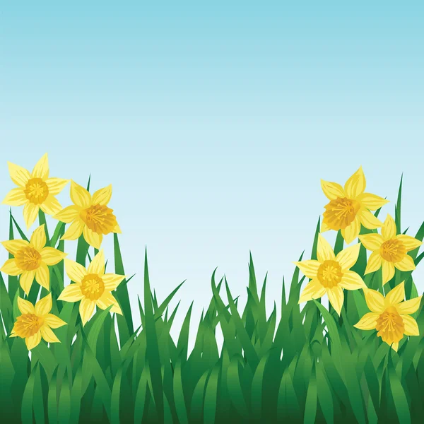 Narcisos — Vector de stock