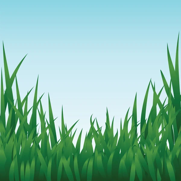 Gras — Stockvector