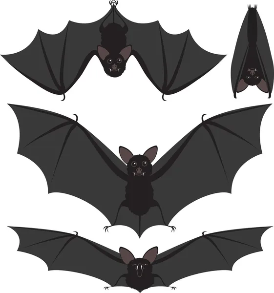Hanging bat Vector Art Stock Images | Depositphotos