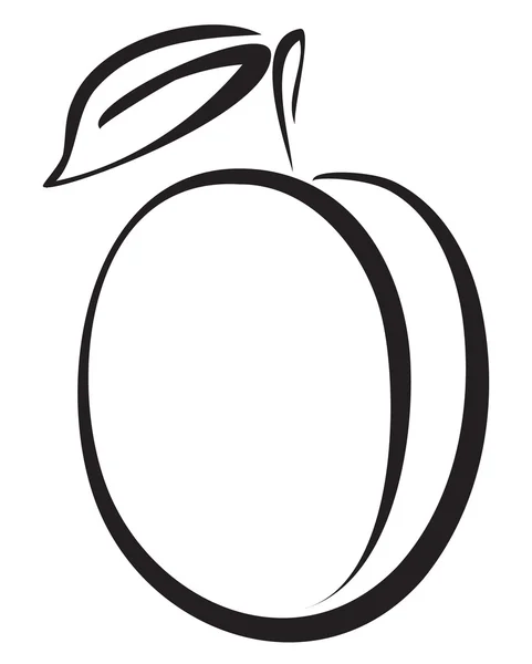 Croquis de prune — Image vectorielle