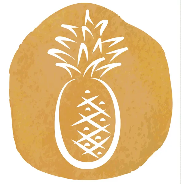 Sketch of pineapple — Stock Vector