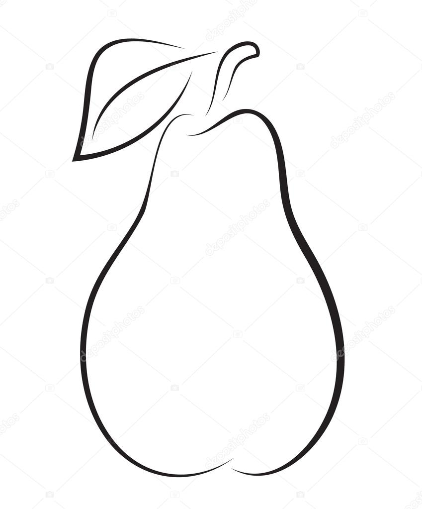 Sketch Of Pear Stock Vector Image By C Prikhnenko Sketch Of Pear Stock Vector Image By C Prikhnenko