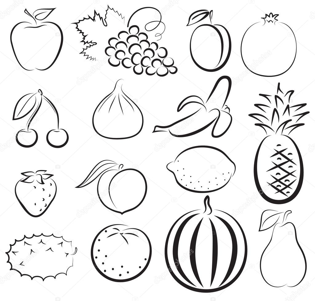 Set Of Ripe Garden Vegetable Edible Vegetable Fruit Hand Drawing Outline  Sketch Isolated On A White Background Vector Stock Illustration  Download  Image Now  iStock