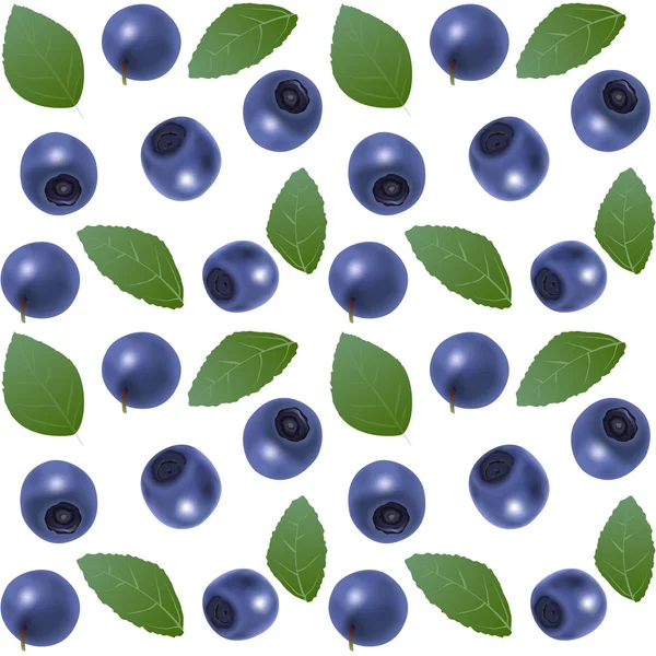 Varrat nélküli Blueberry háttér — Stock Vector