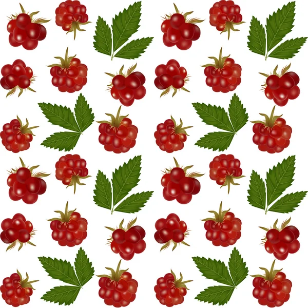 Noordpoolbramble — Stockvector