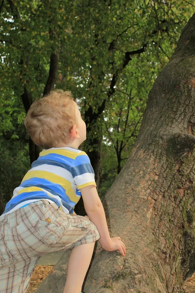 Niño en la naturaleza — Foto de Stock