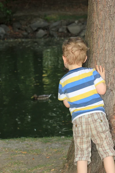 Niño en la naturaleza — Foto de Stock