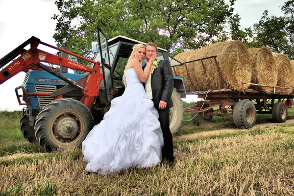 Wedding couple — Stock Photo, Image