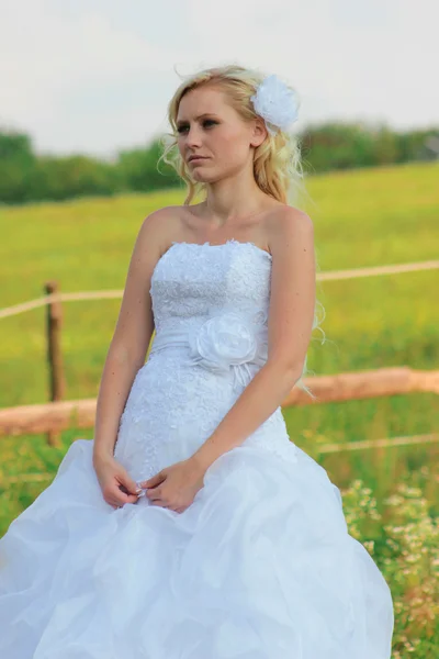Wedding bride — Stock Photo, Image
