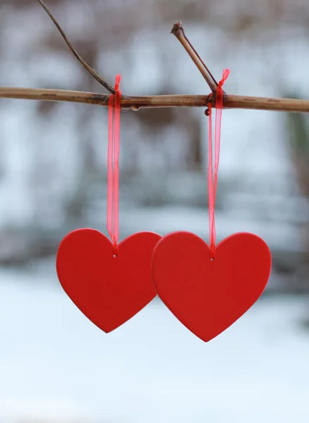 Two red hearts on branch — Stock Photo, Image