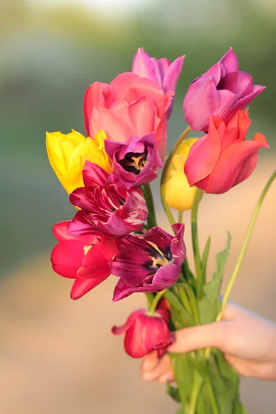 Demet Lale kızın elinde