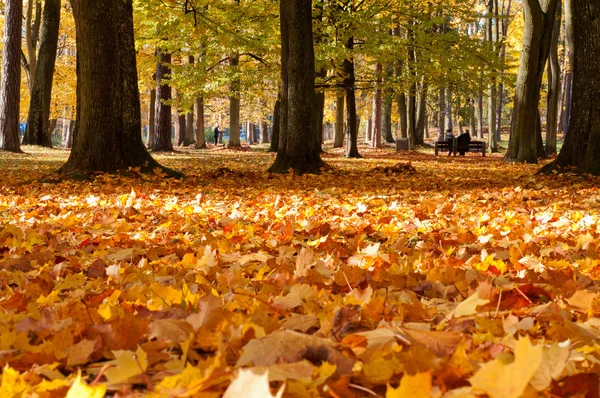 Escena de otoño — Foto de Stock