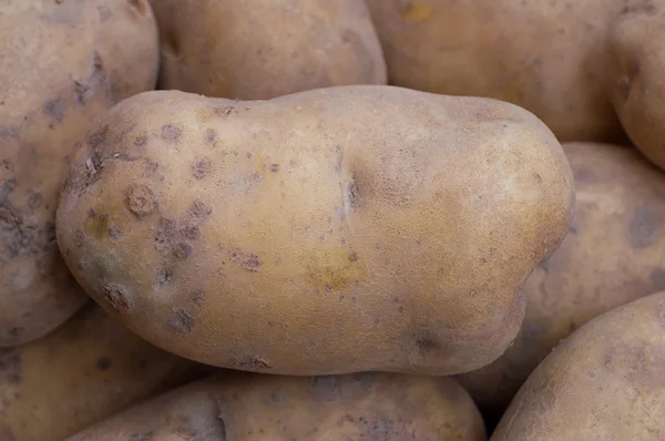 Potatos — Stock Photo, Image