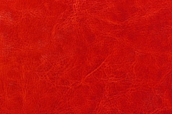Rött läder bakgrund eller struktur — Stockfoto