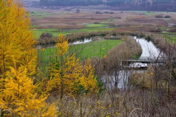 Meanderende rivier — Stockfoto