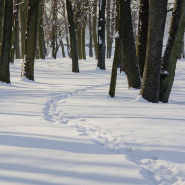 karla kaplı Şehir Parkı