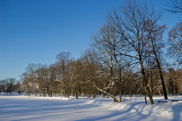 Karla kaplı Şehir Parkı — Stok fotoğraf