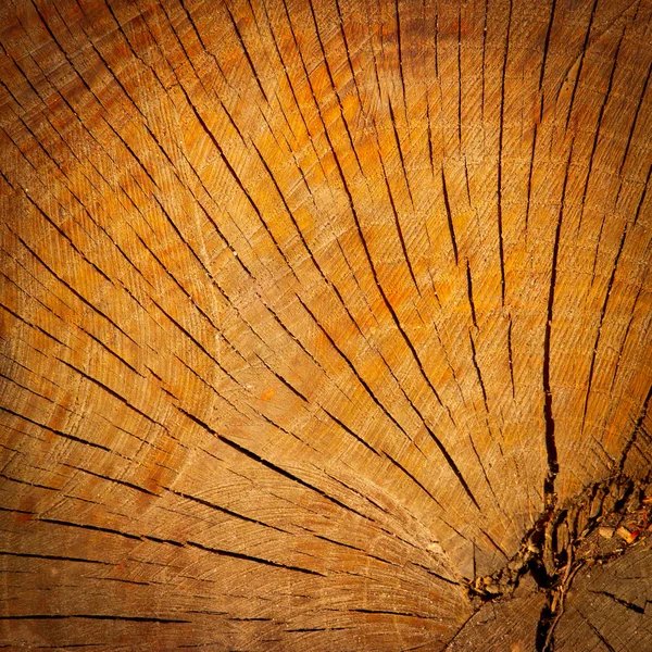 Holzstruktur mit Fokus auf die Maserung des Holzes — Stockfoto