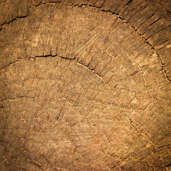 Texture du bois mettant l'accent sur le grain du bois — Photo