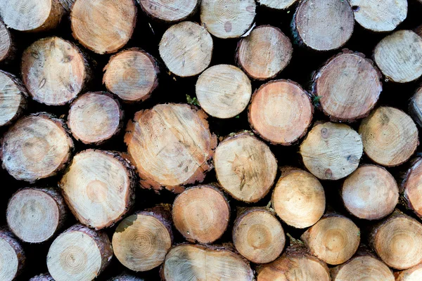 Montón de troncos de madera listo para el invierno —  Fotos de Stock