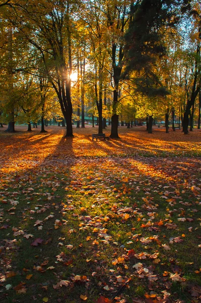 Осенняя сцена в городском парке — стоковое фото