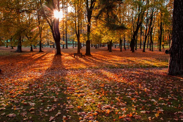 Cena de outono em um parque da cidade — Fotografia de Stock