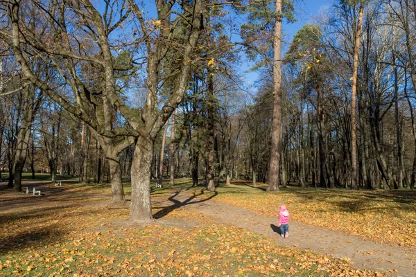 Sonbahar sahne bir Şehir Parkı — Stok fotoğraf