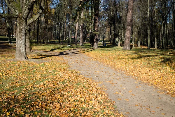 Escena de otoño en un parque de la ciudad — Foto de Stock