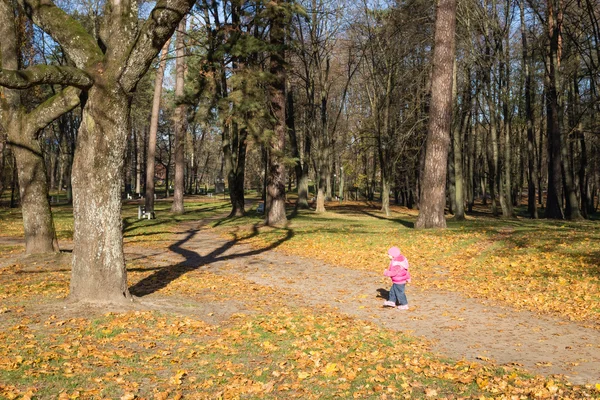 Escena de otoño en un parque de la ciudad — Foto de Stock