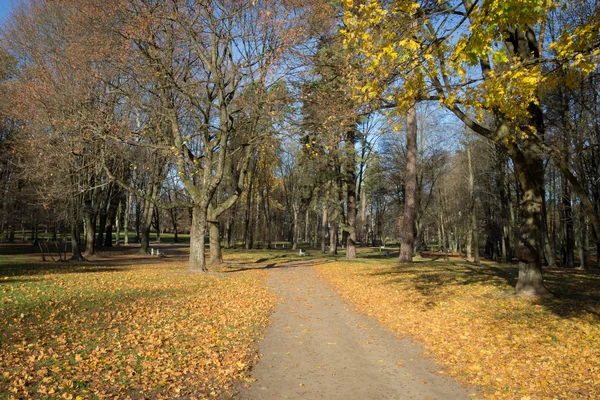 Осенняя сцена в городском парке — стоковое фото